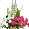 Happy Days - Click here to View more details about this Product